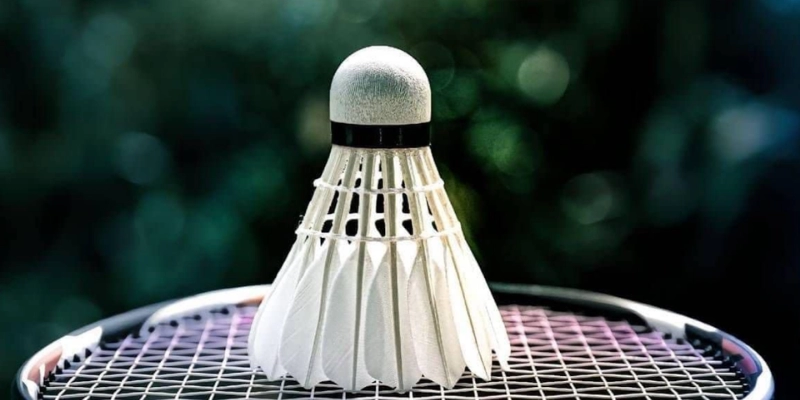 Chen Long Và Viktor Axelsen – Ai Có Phong Độ Ổn Định Hơn