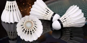 Chen Long Và Viktor Axelsen – Ai Có Phong Độ Ổn Định Hơn