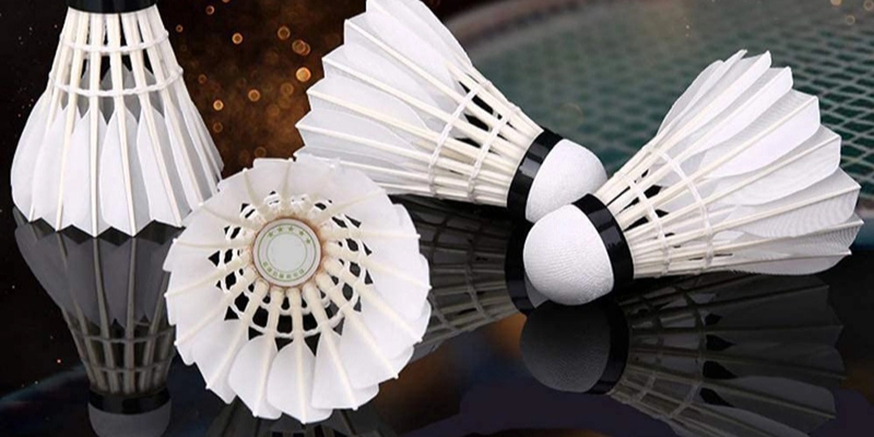 Chen Long Và Viktor Axelsen – Ai Có Phong Độ Ổn Định Hơn