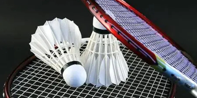 Chen Long Và Viktor Axelsen – Ai Có Phong Độ Ổn Định Hơn