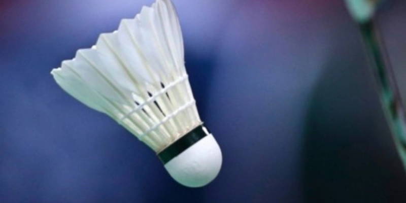 Top VĐV Cầu Lông Có Thành Tích Olympic Ấn Tượng Nhất