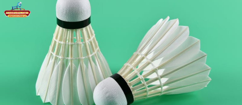 Vai trò của bảo mật trong trải nghiệm người dùng tại AmericanBadminton