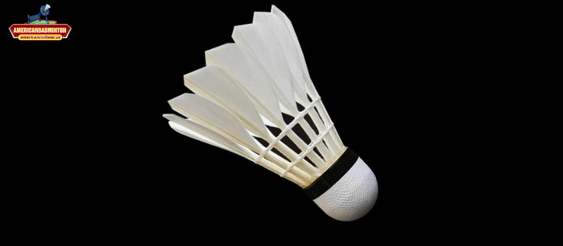 Cách AmericanBadminton sử dụng dữ liệu và bảo vệ quyền riêng tư