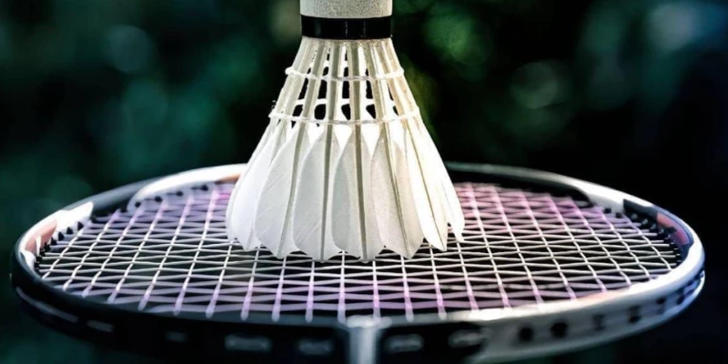 Giới Thiệu AmericanBadminton