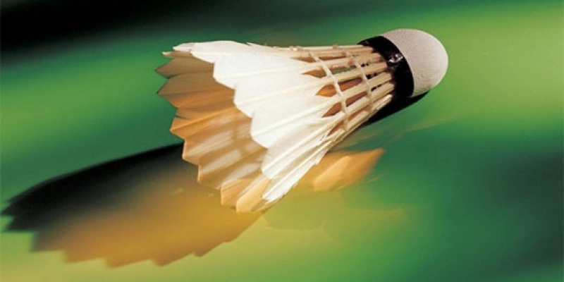 Giới Thiệu AmericanBadminton